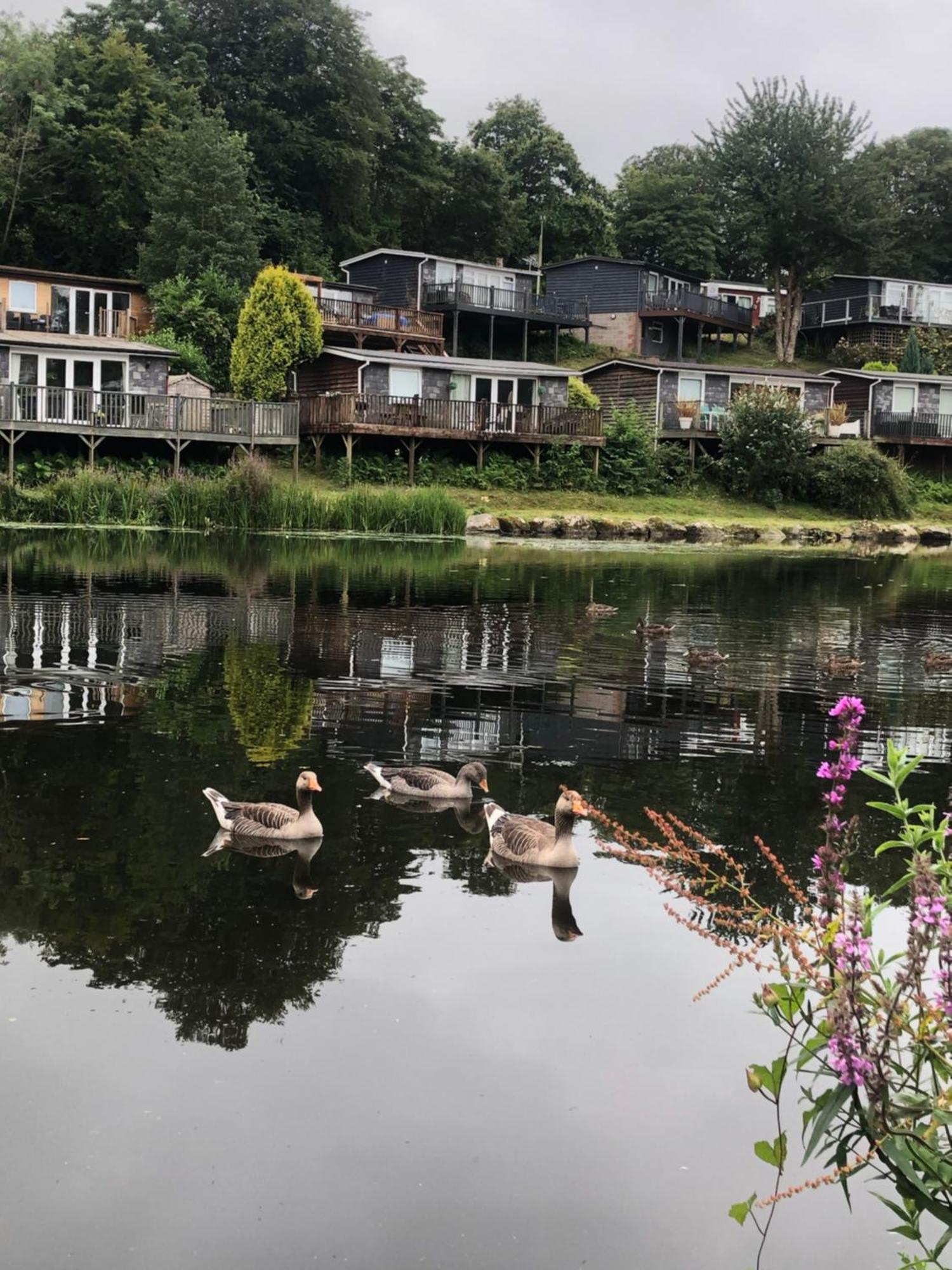 Chalet 64, Lakeside, Glan Gwna Holiday Park Caernarfon Esterno foto